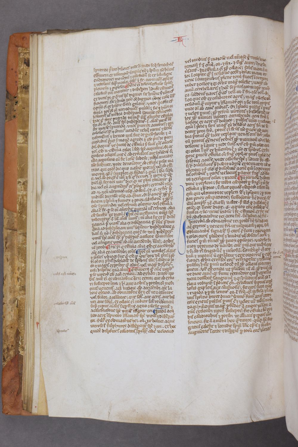 Folio 25 verso